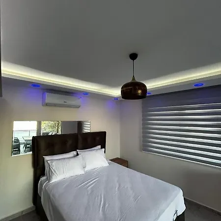 Villa Class Buiseness White Pearl